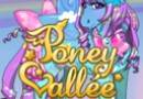 Poney Vallee logo
